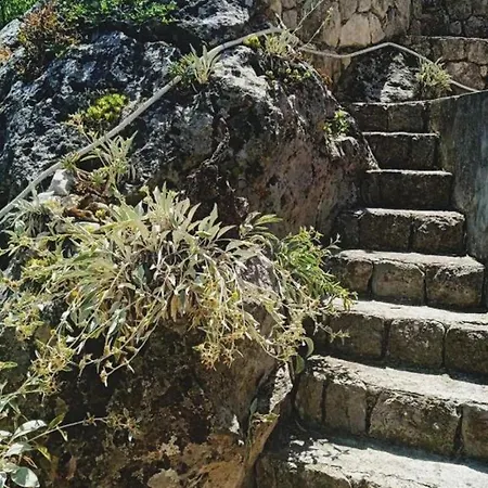 By The Sea Prozurska Luka, Mljet - 22337 Maranovici